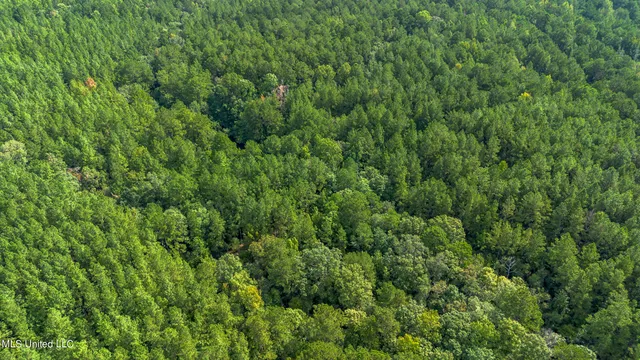 $550,000 | 0 Ben Sones Road, Lumberton, MS 39455