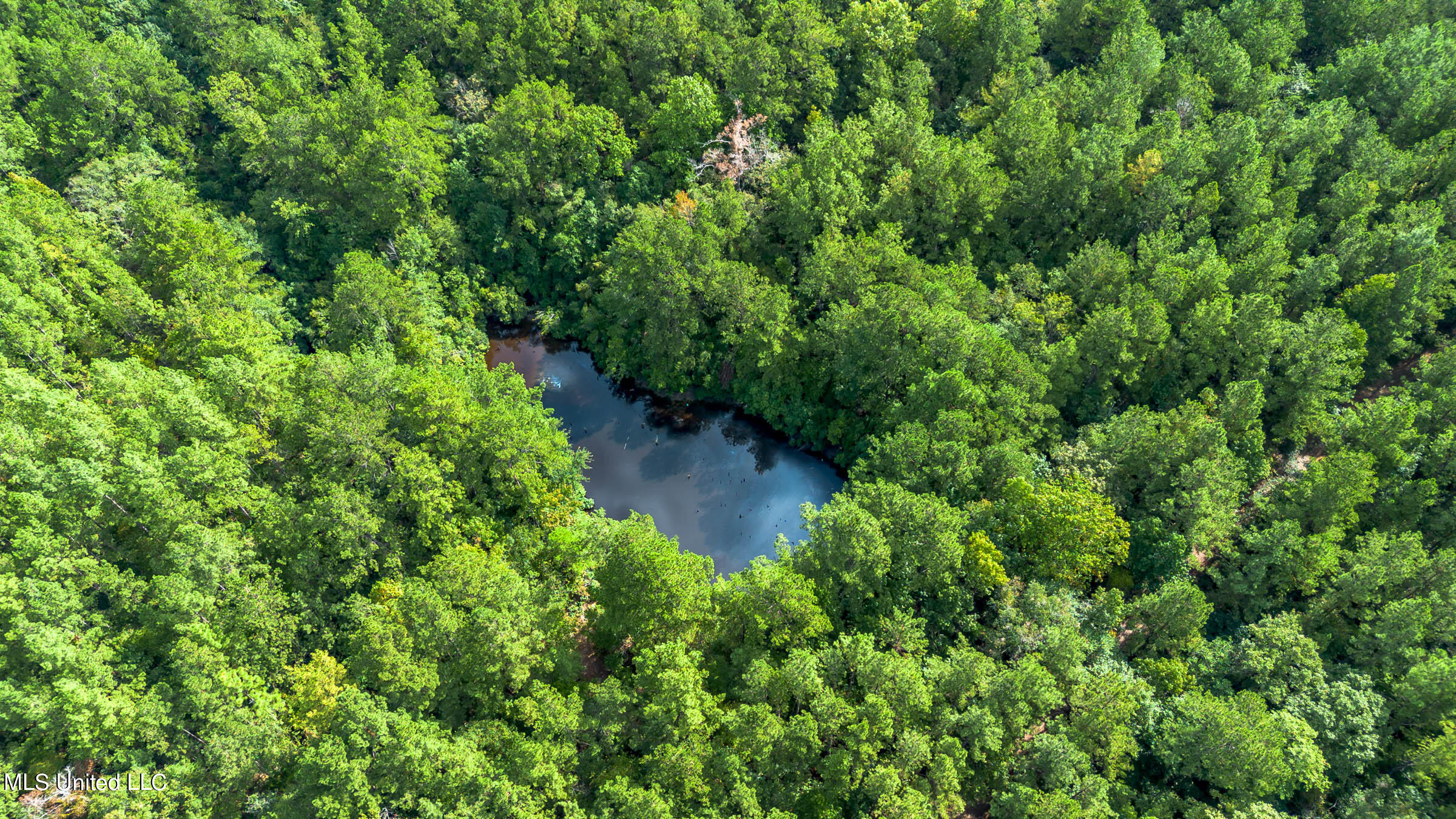 0 Ben Sones Road Lumberton, MS 39455 - Photo 8 of 14 Lumberton (9) (1)