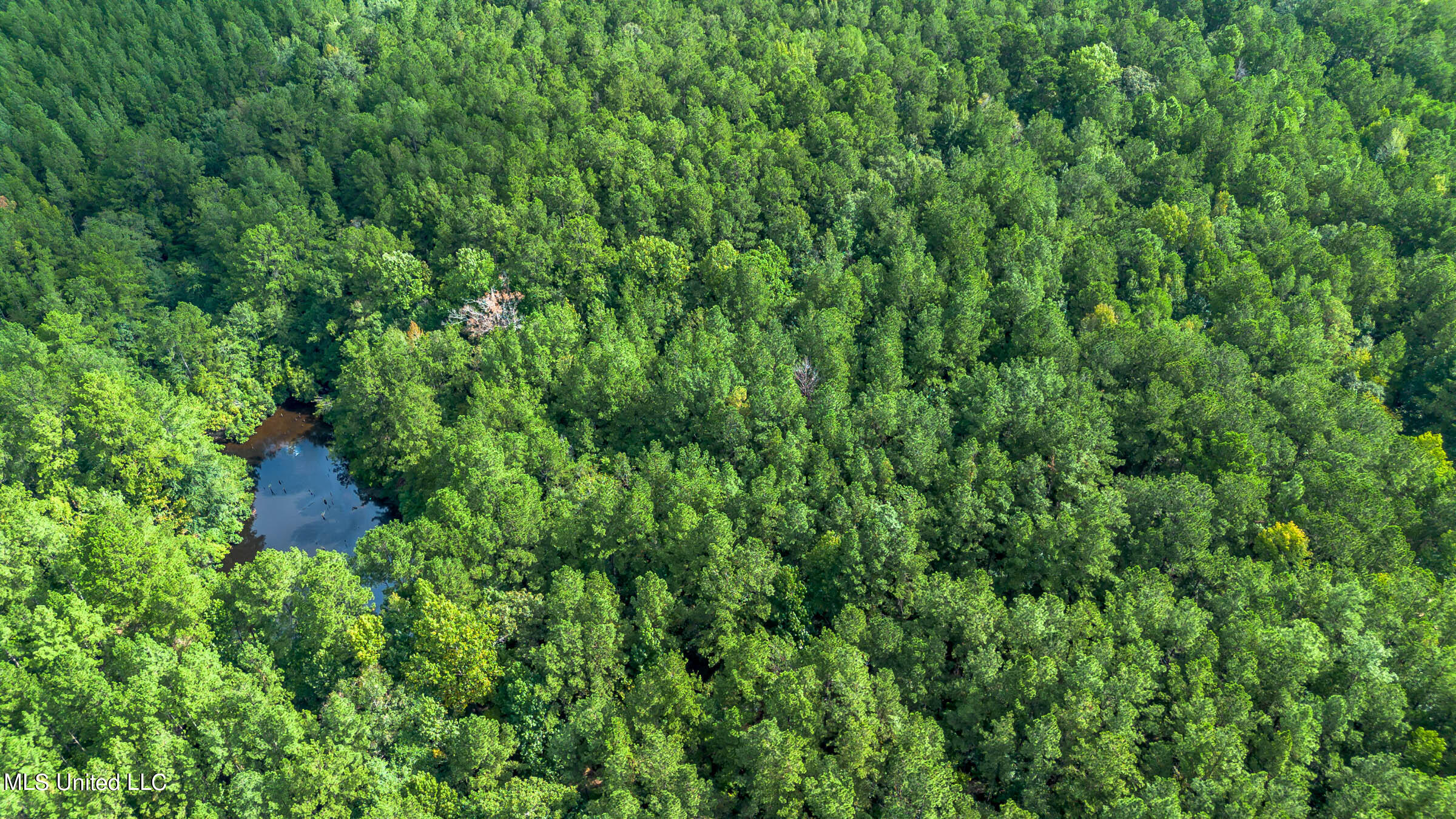 0 Ben Sones Road Lumberton, MS 39455 - Photo 9 of 14 Lumberton (8) (1)
