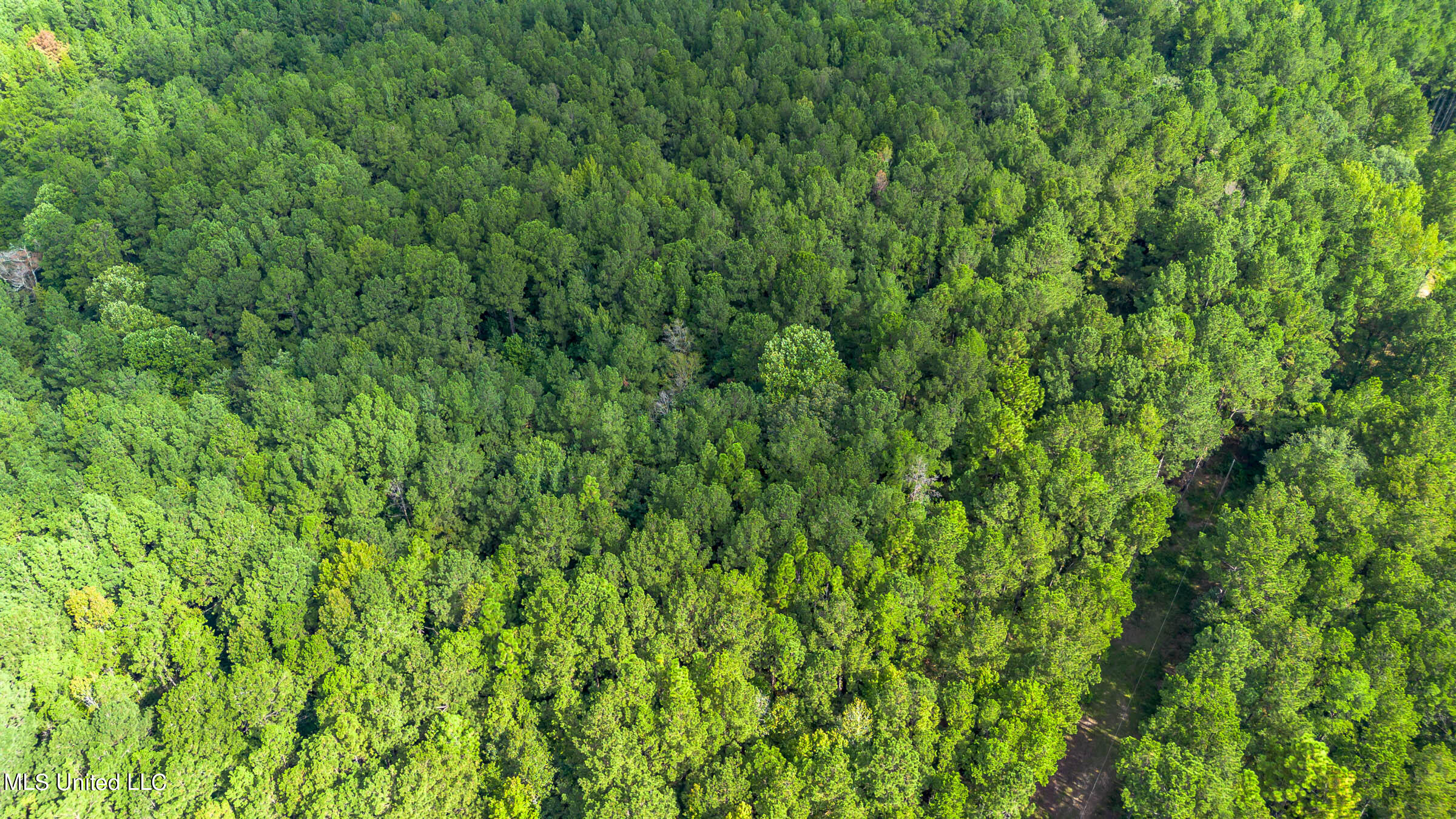 0 Ben Sones Road Lumberton, MS 39455 - Photo 10 of 14 Lumberton (7) (1)