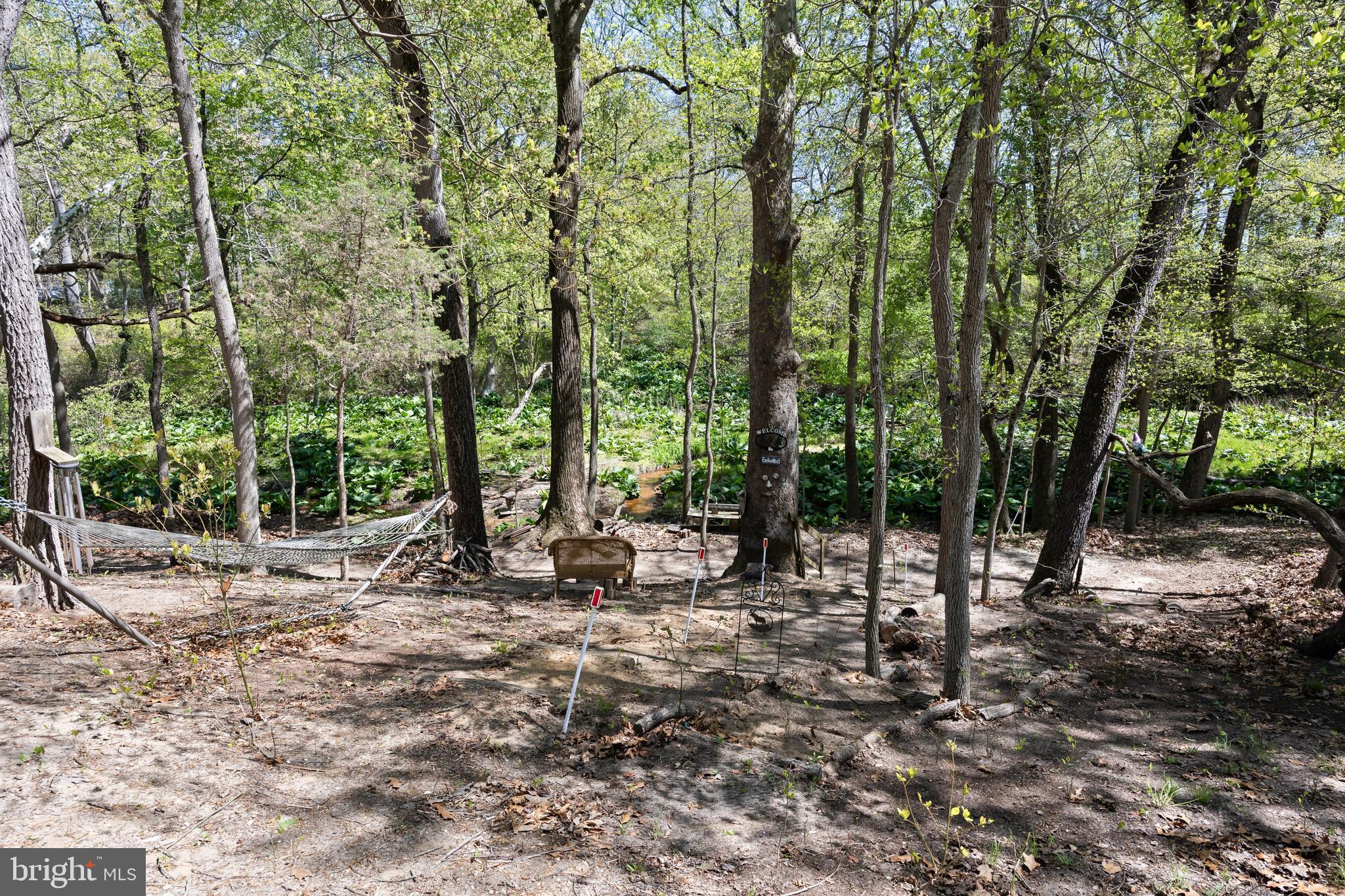 59 Berkley Road Clarksboro, NJ 08061 - Photo 38 of 49 a view of a forest with trees in the background