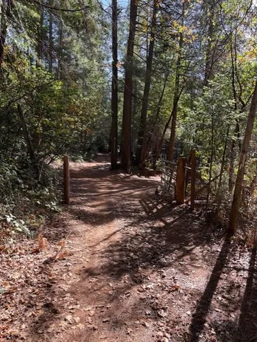 a view of outdoor space with trees