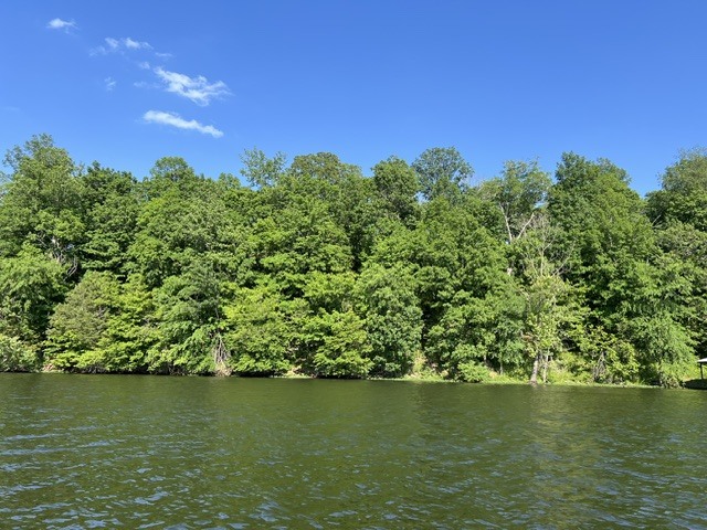 Lot 147 Parrish Ridge Goreville, IL 62939 - Photo 2 of 20