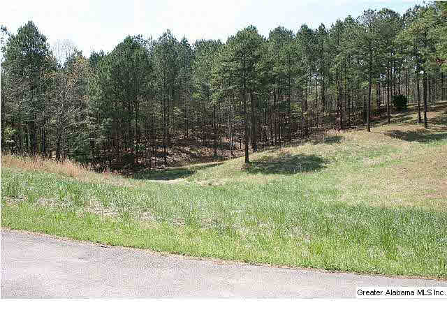 115 Overlook Terrace Helena, AL 35080 - Photo 22 of 32