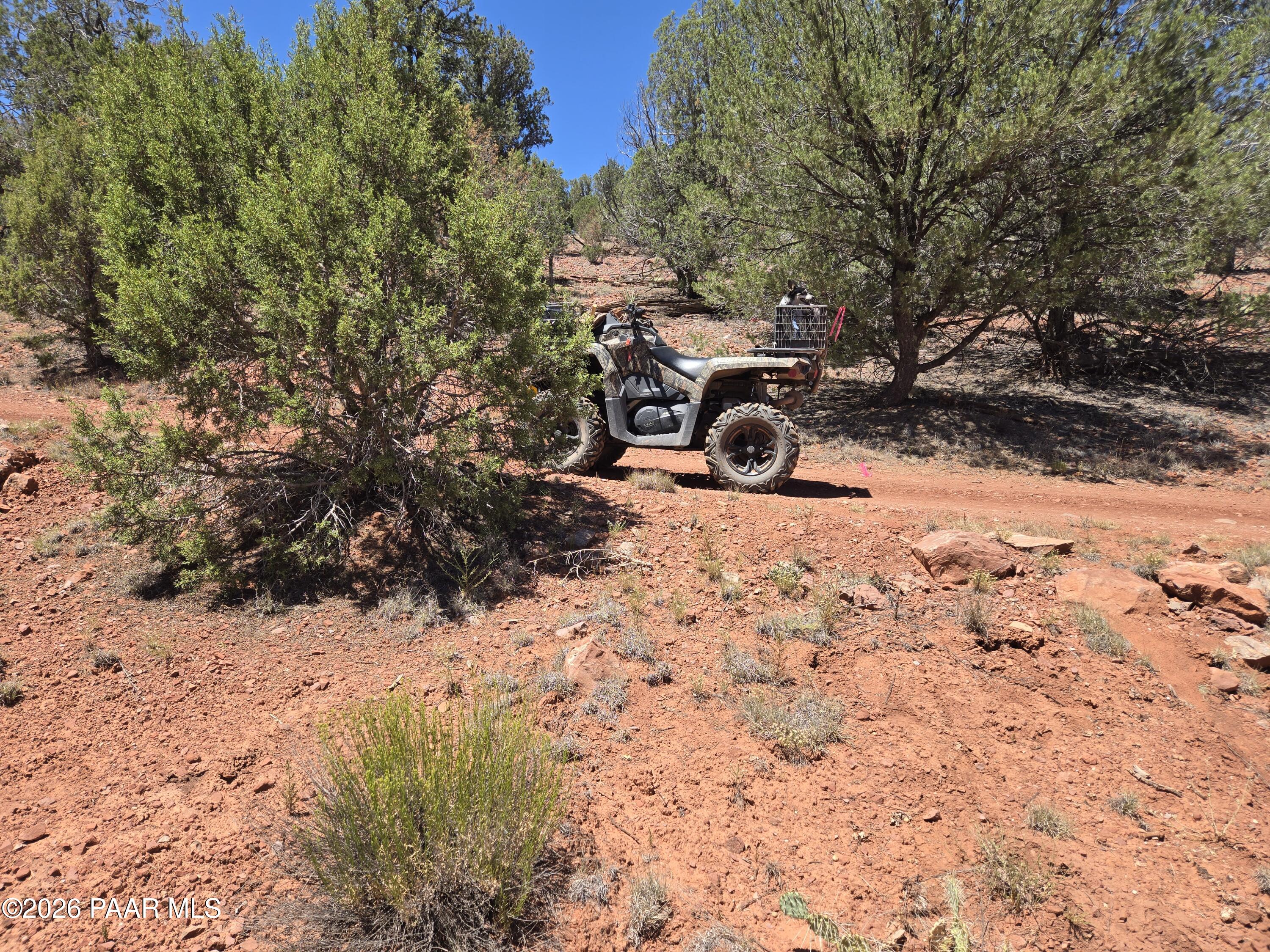 450 Arizona Road Ash Fork, AZ 86320 - Photo 2 of 16 20260629_135543