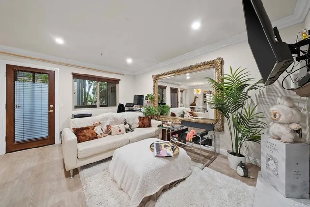 a living room with furniture and a potted plant
