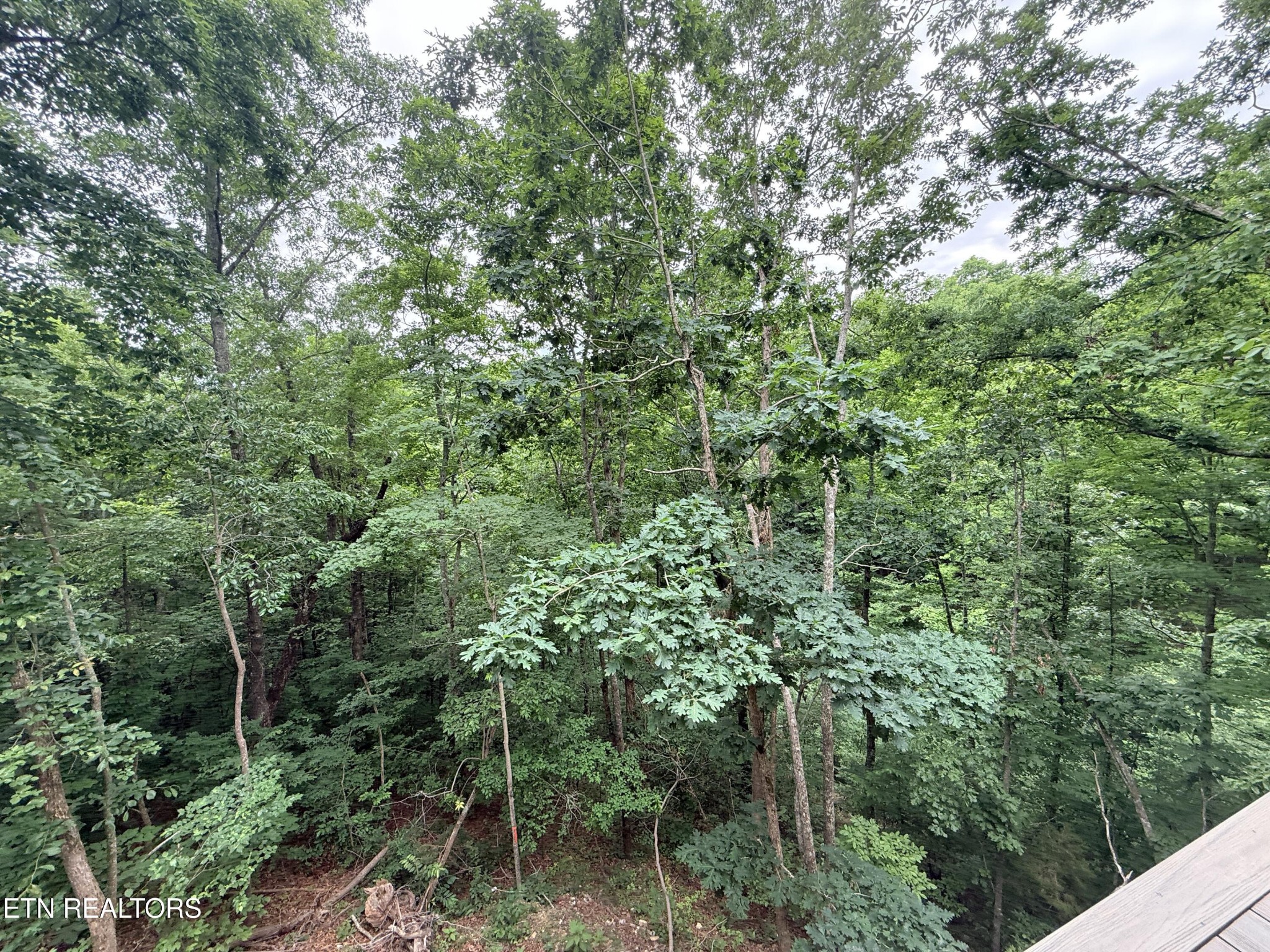 985 Joe Ridge Road Celina, TN 38551 - Photo 19 of 20