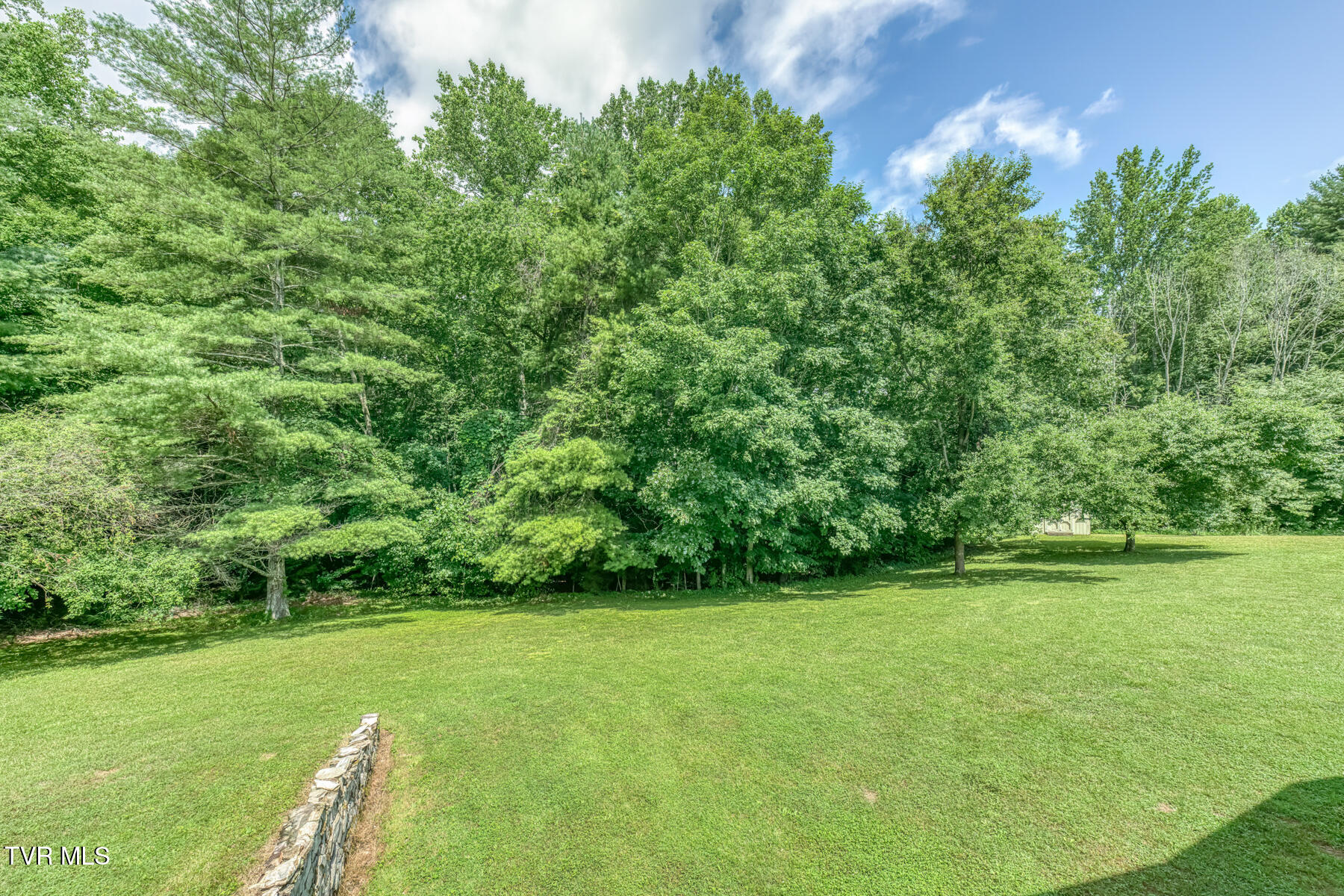 1678 Sluder Road Shady Valley, TN 37688 - Photo 75 of 110 1678 Sluder Rd-75