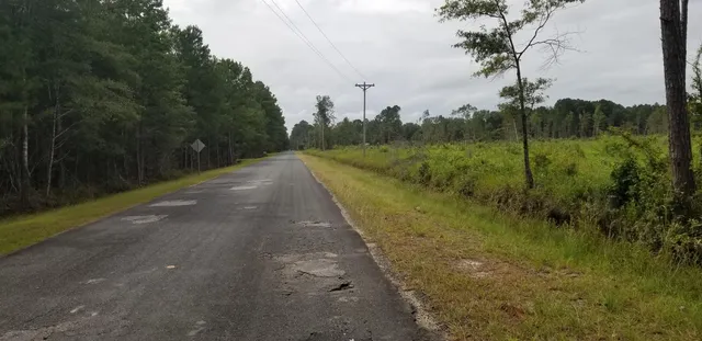 $300,000 | 0 Rhode Drive, Cottageville, SC 29435