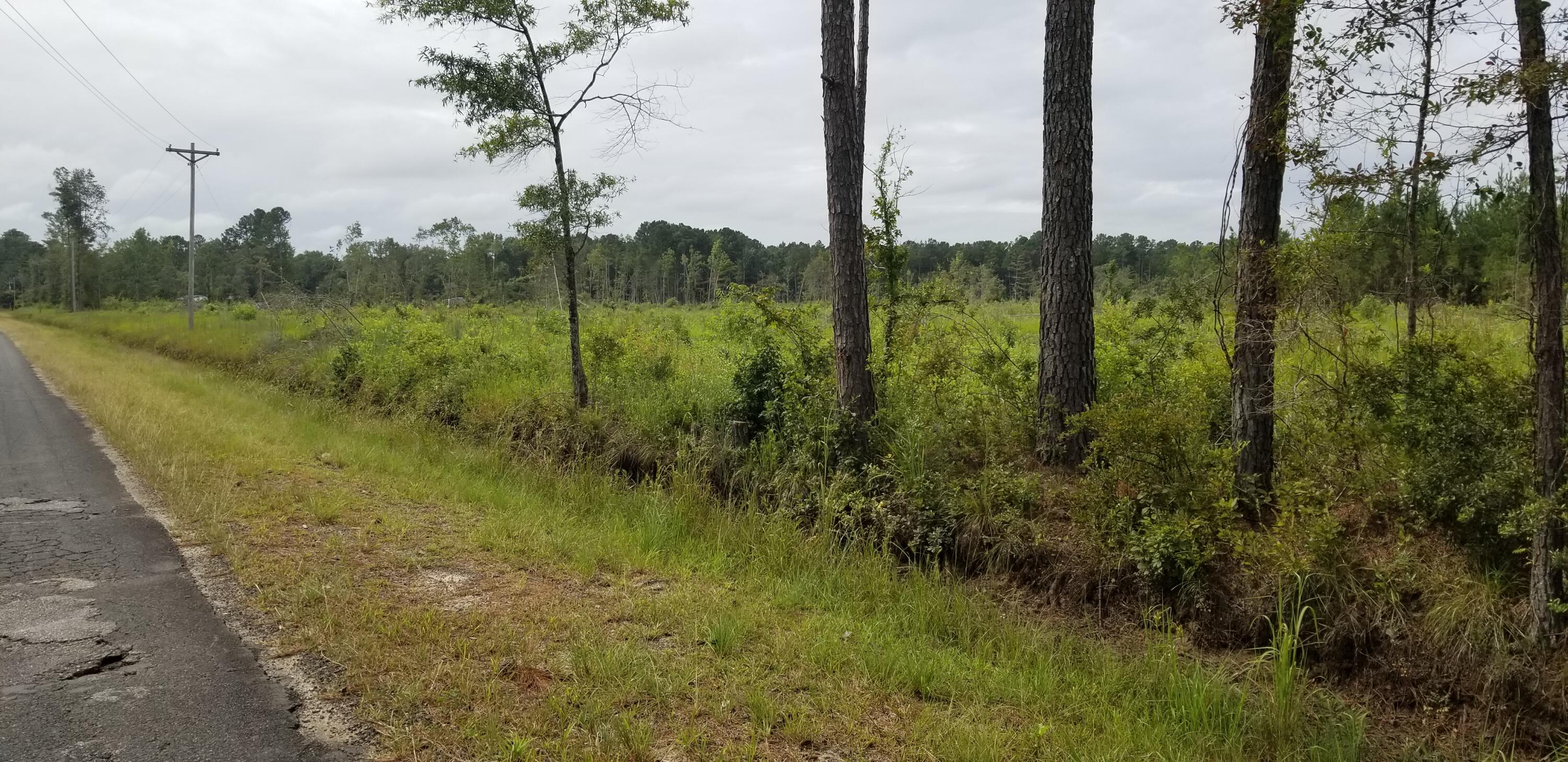 0 Rhode Drive Cottageville, SC 29435 - Photo 2 of 10 20240906_110255