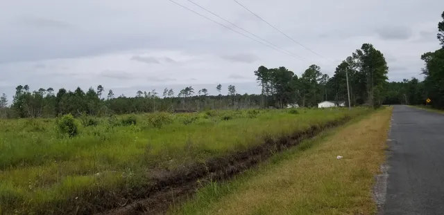 $300,000 | 0 Rhode Drive, Cottageville, SC 29435