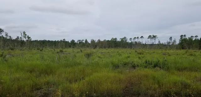 $300,000 | 0 Rhode Drive, Cottageville, SC 29435