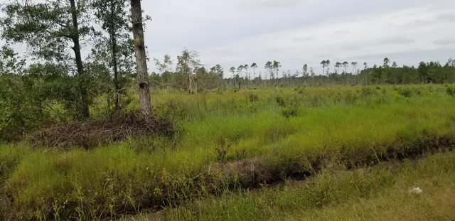 $300,000 | 0 Rhode Drive, Cottageville, SC 29435