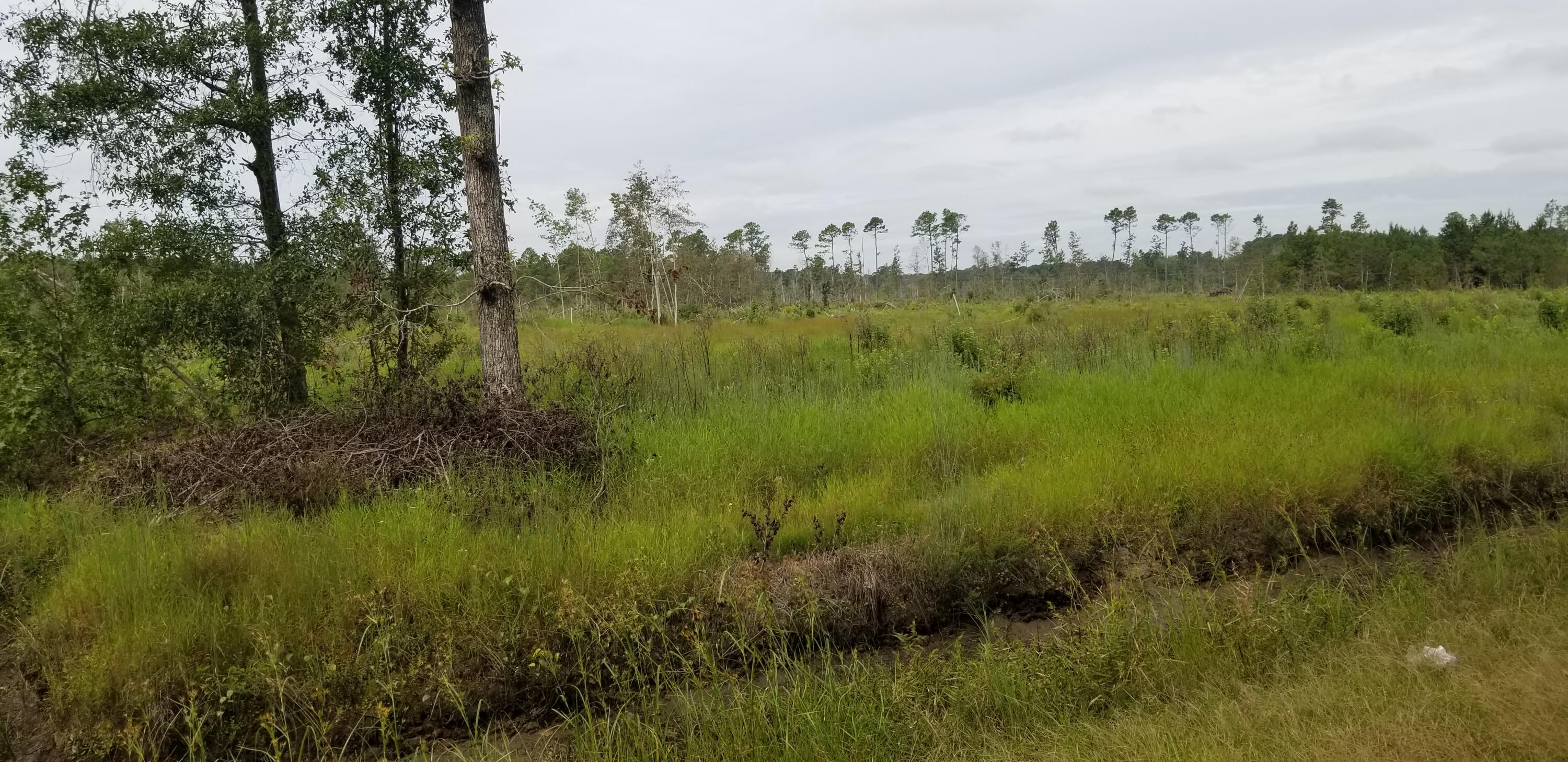 0 Rhode Drive Cottageville, SC 29435 - Photo 6 of 10 20240906_105631