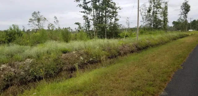 $300,000 | 0 Rhode Drive, Cottageville, SC 29435