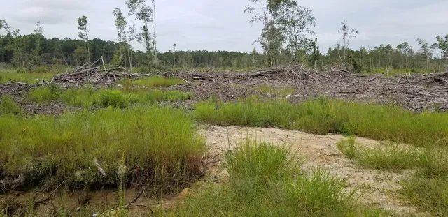 $300,000 | 0 Rhode Drive, Cottageville, SC 29435