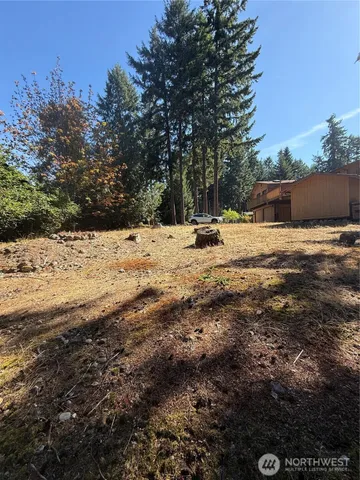 $30,000 | 18313 Lofts Court Southeast, Yelm, WA 98597