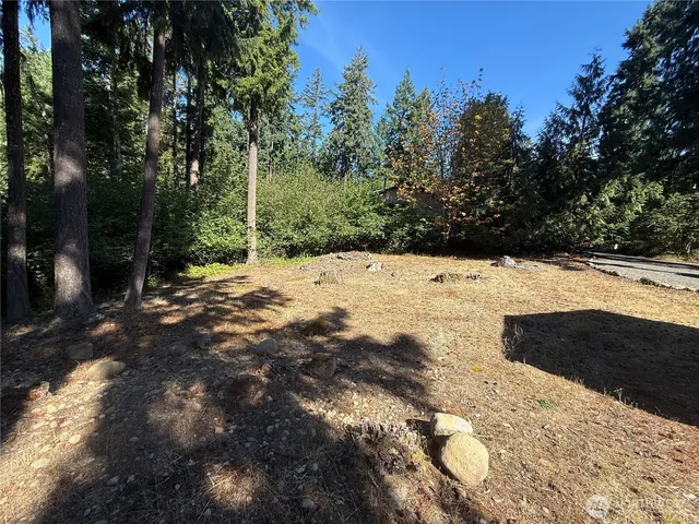 $30,000 | 18313 Lofts Court Southeast, Yelm, WA 98597