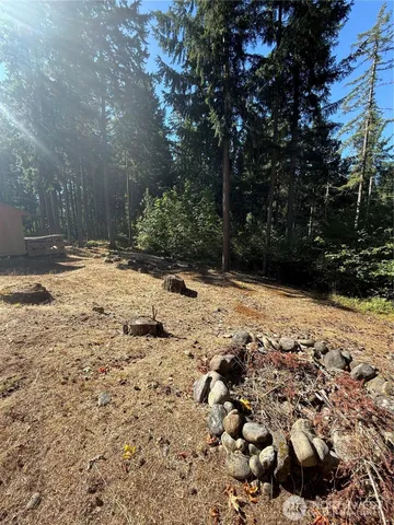 $30,000 | 18313 Lofts Court Southeast, Yelm, WA 98597