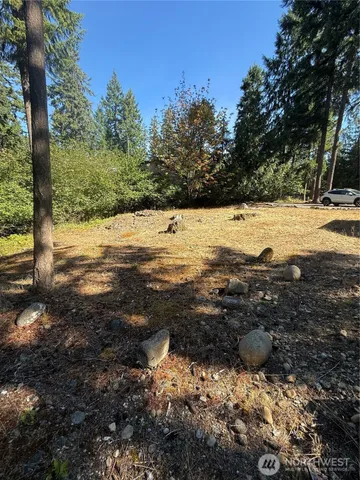 $30,000 | 18313 Lofts Court Southeast, Yelm, WA 98597