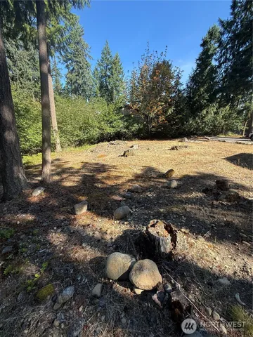 $30,000 | 18313 Lofts Court Southeast, Yelm, WA 98597