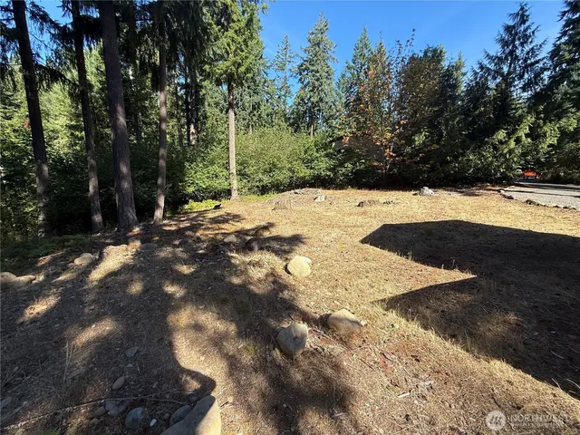 $30,000 | 18313 Lofts Court Southeast, Yelm, WA 98597