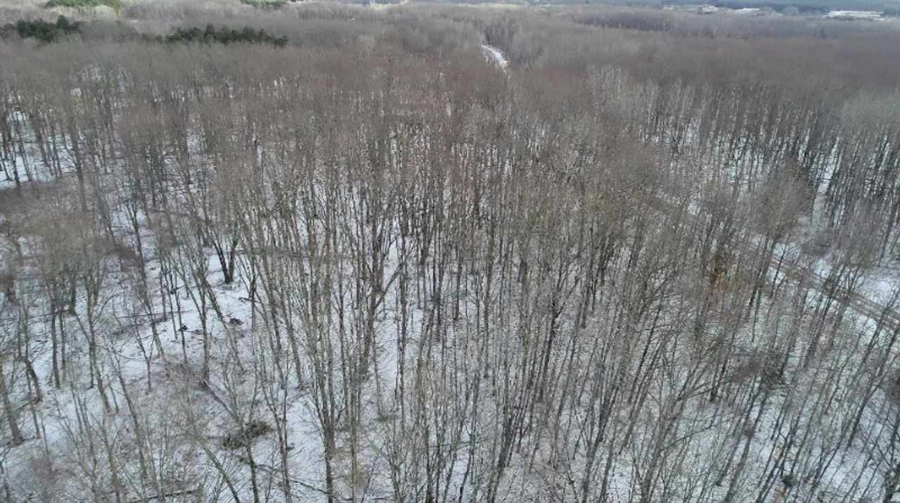 0 Madison Road Barryton, MI 49332 - Photo 4 of 11