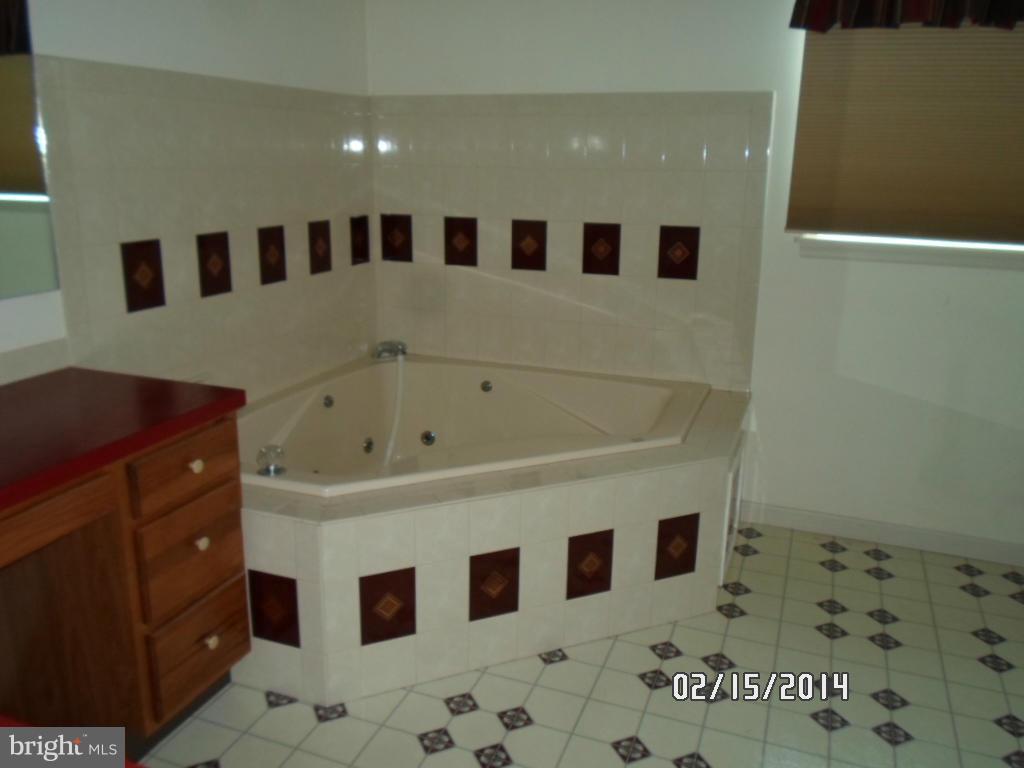 82 Game Trail Road Falling Waters, WV 25419 - Photo 8 of 15 Bath (Master)