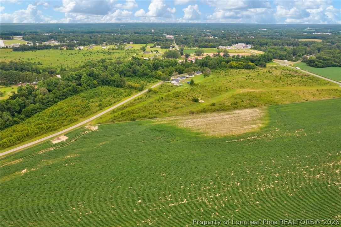Wallace Mclean Road Raeford, NC 28376 - Photo 6 of 14