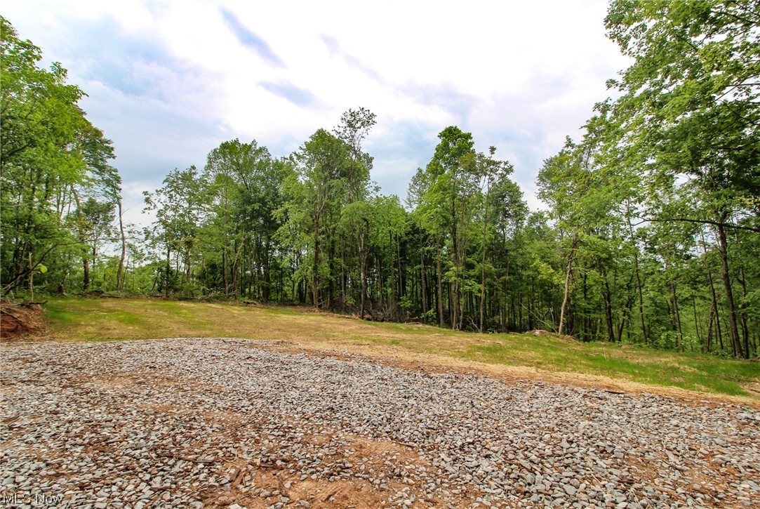 2 Mount Carmel Ridge Rd Street St. Marys, WV 26170 - Photo 2 of 18