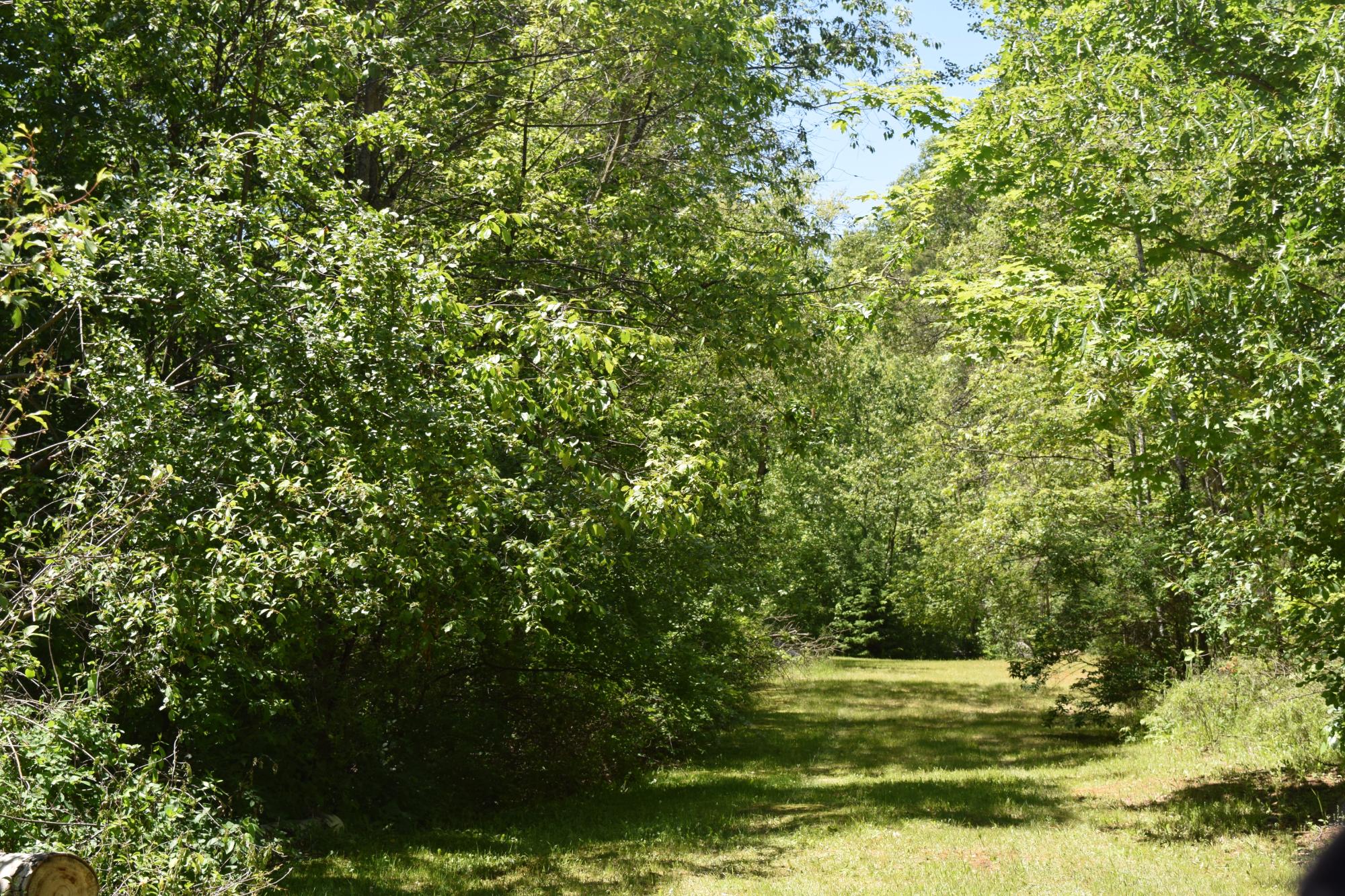 On Grossman Avenue Rhinelander, WI 54501 - Photo 12 of 13 Gallery Image 12
