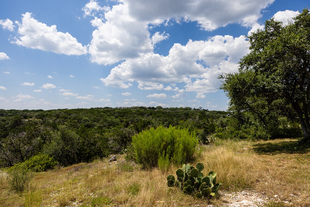 1095 Elm Pass Road Center Point, TX 78010 - Photo 41 of 63 Gallery Image 41