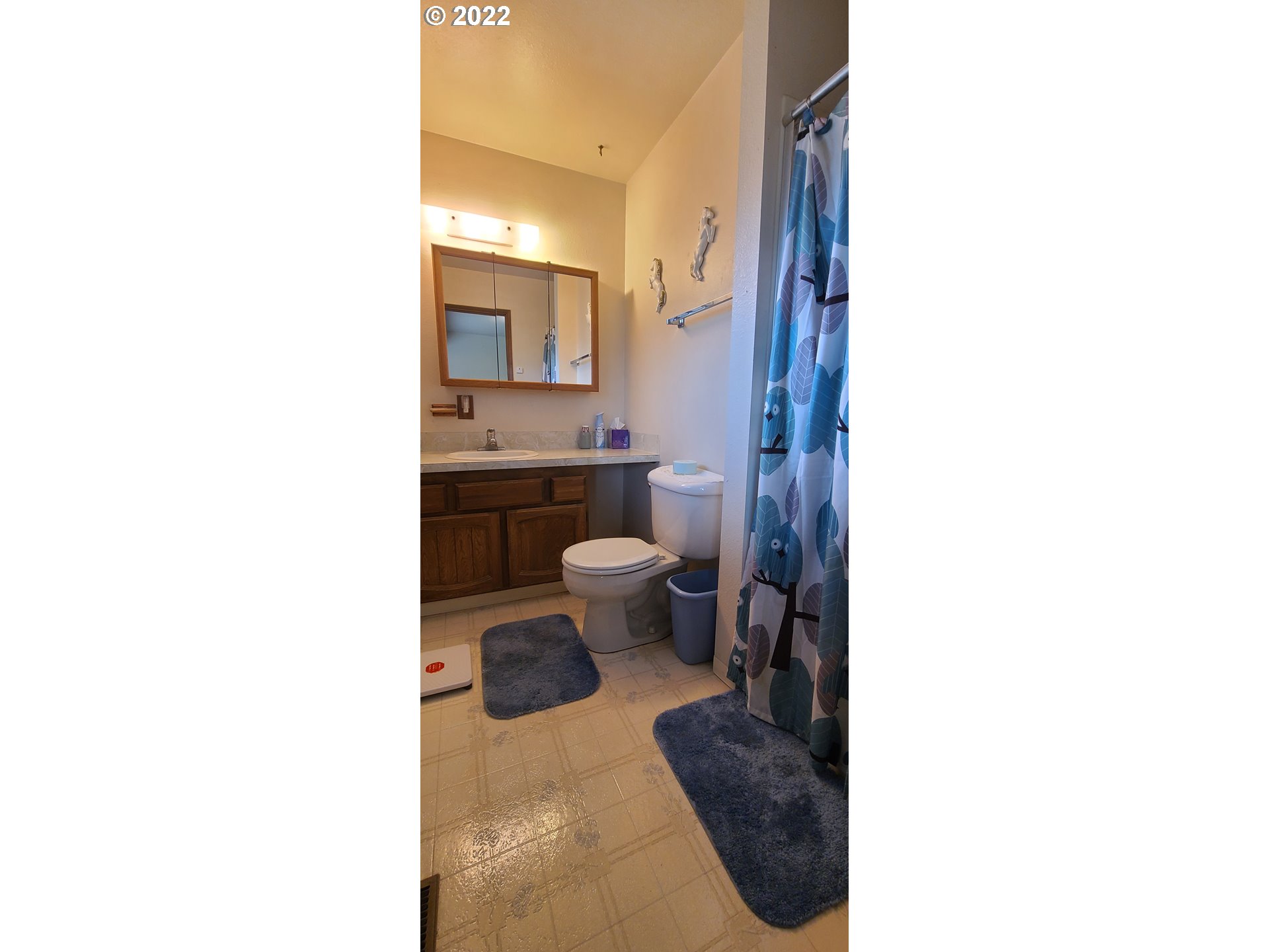 541 Summit Ridge Drive The Dalles, OR 97058 - Photo 13 of 24 Gallery Image 13
