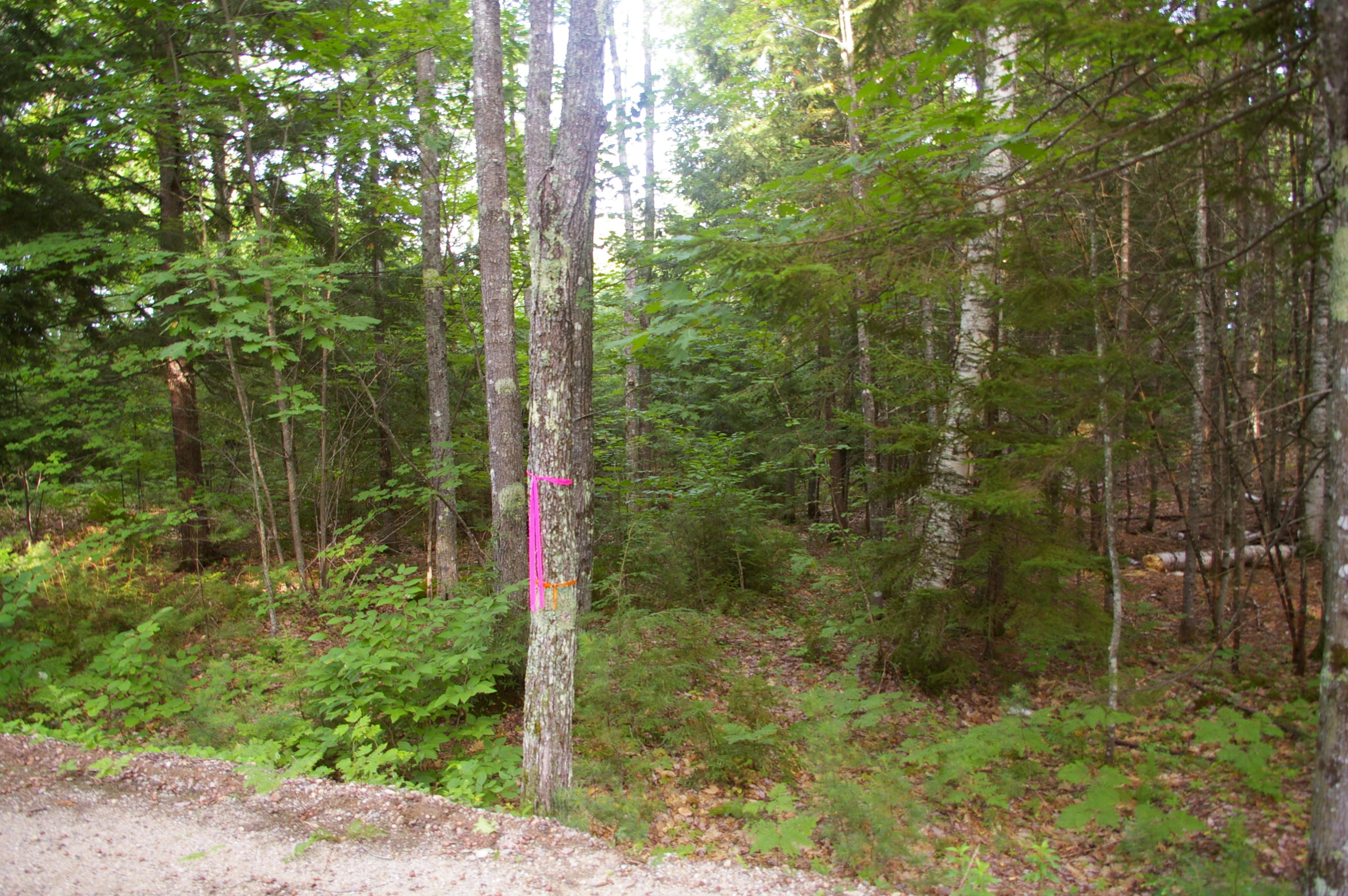 Lot#2 Fernald Hills Way Road Stow, ME 04037 - Photo 5 of 7 Lot#2