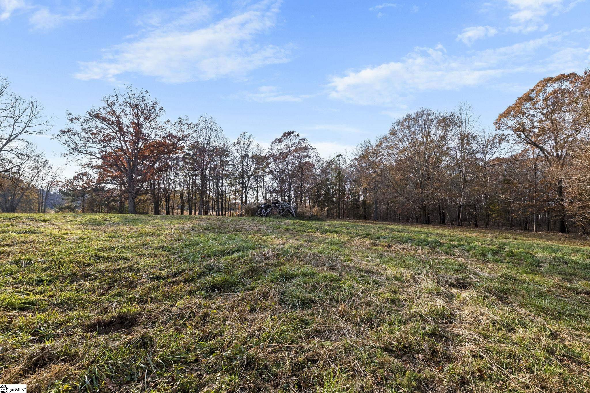 661 Cooley Road Gray Court, SC 29645 - Photo 33 of 40