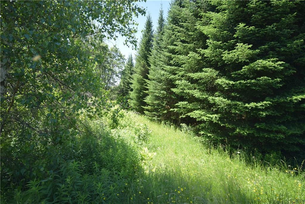 996 A Dodlin Road Enfield, ME 04493 - Photo 1 of 7 Maine Land for Sale in Enfield