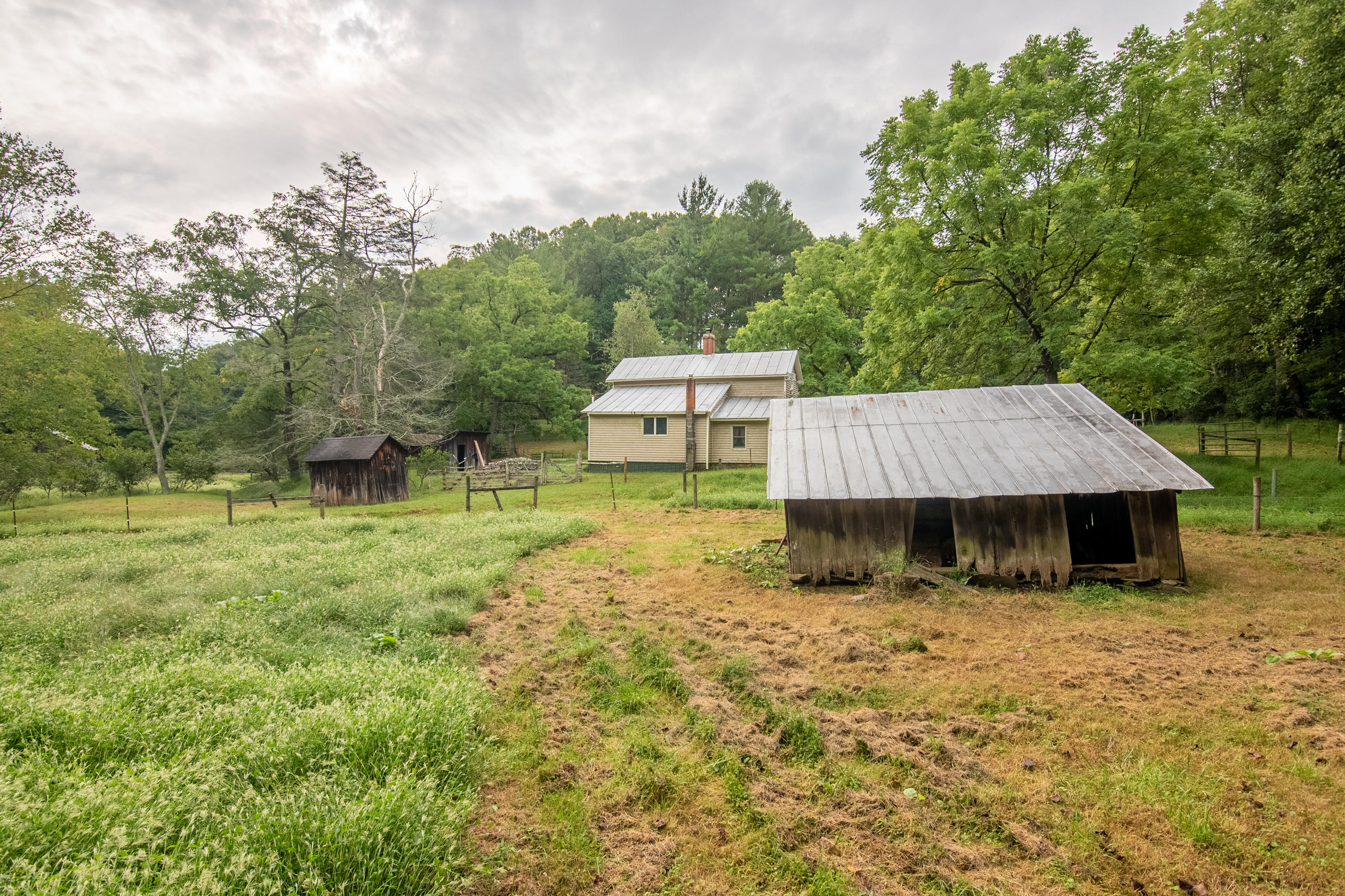 361 Wade Road Northwest Floyd, VA 24091 - Photo 22 of 48 a backyard of a house with table and chairs