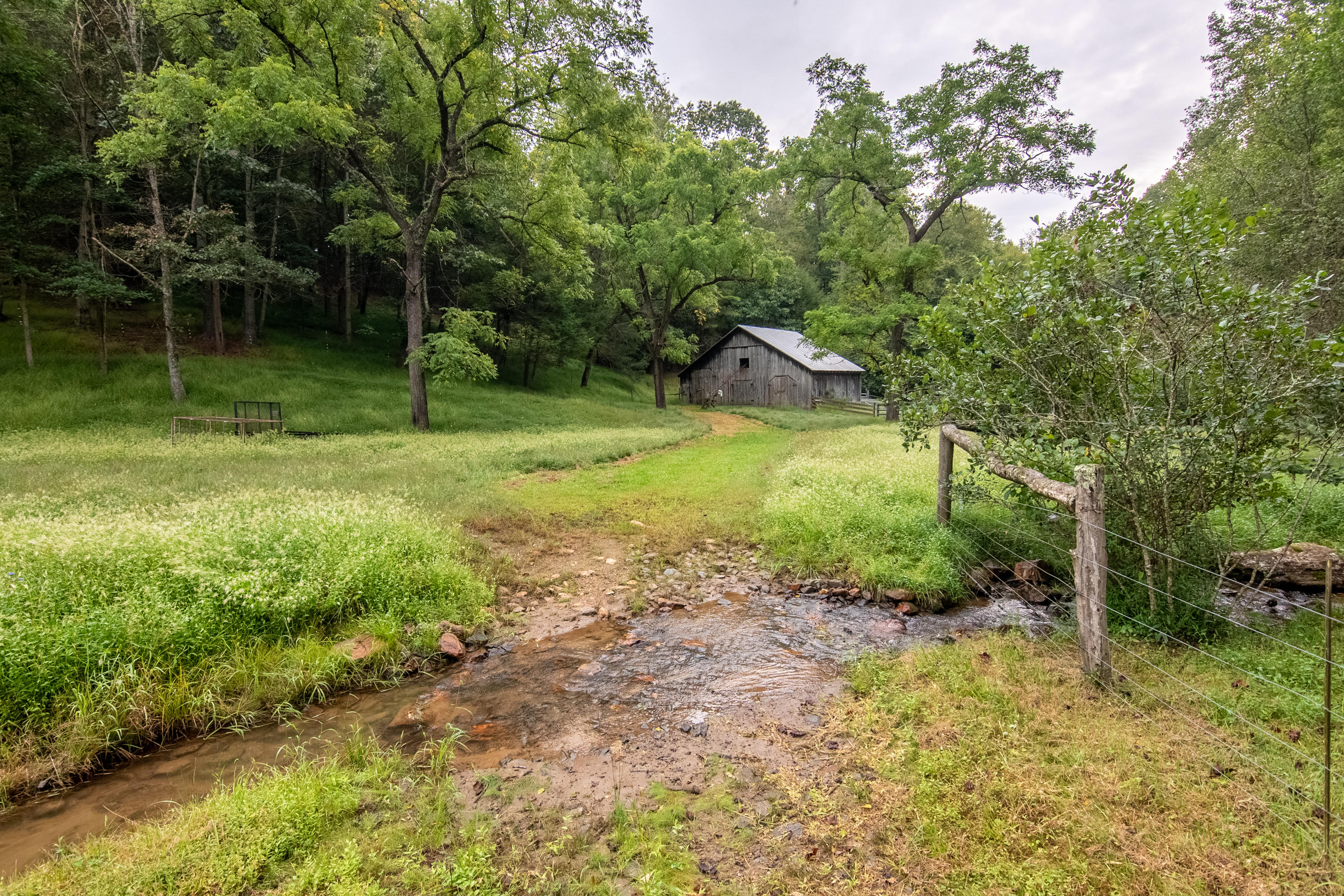 361 Wade Road Northwest Floyd, VA 24091 - Photo 26 of 48 a backyard of a house with plants and tree
