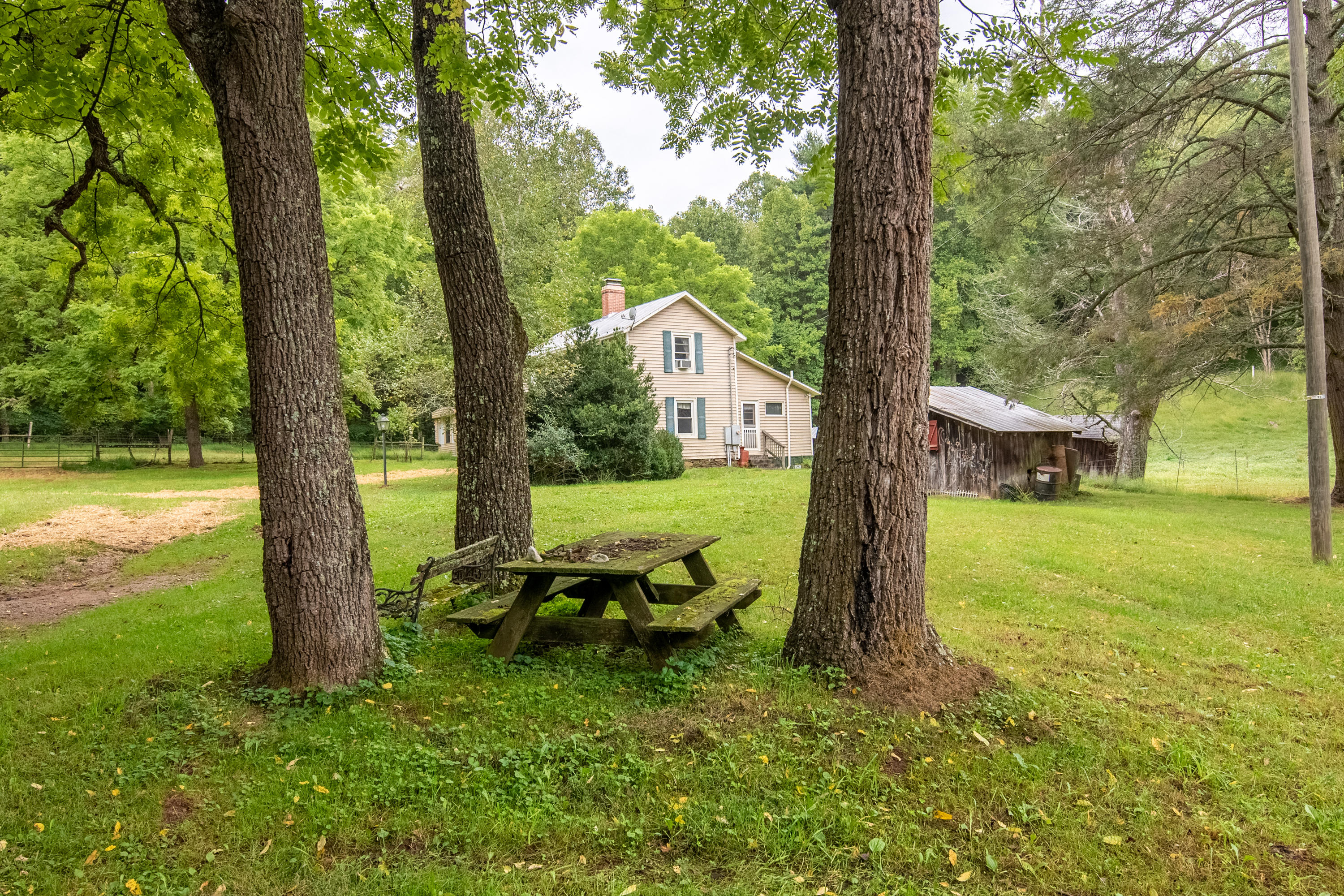 361 Wade Road Northwest Floyd, VA 24091 - Photo 28 of 48 a view of a garden with a tree