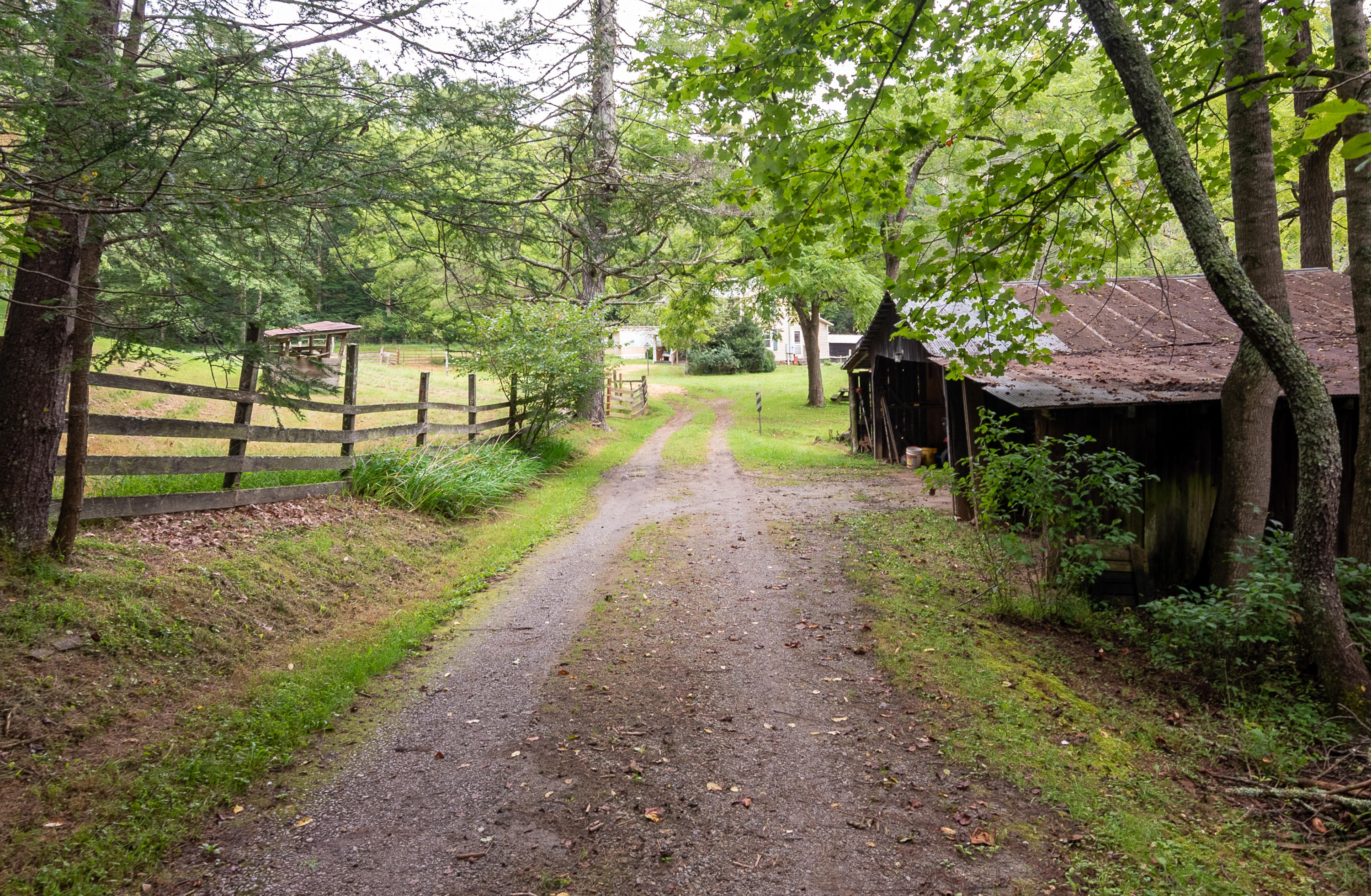361 Wade Road Northwest Floyd, VA 24091 - Photo 4 of 48 a view of a yard with plants and a trees