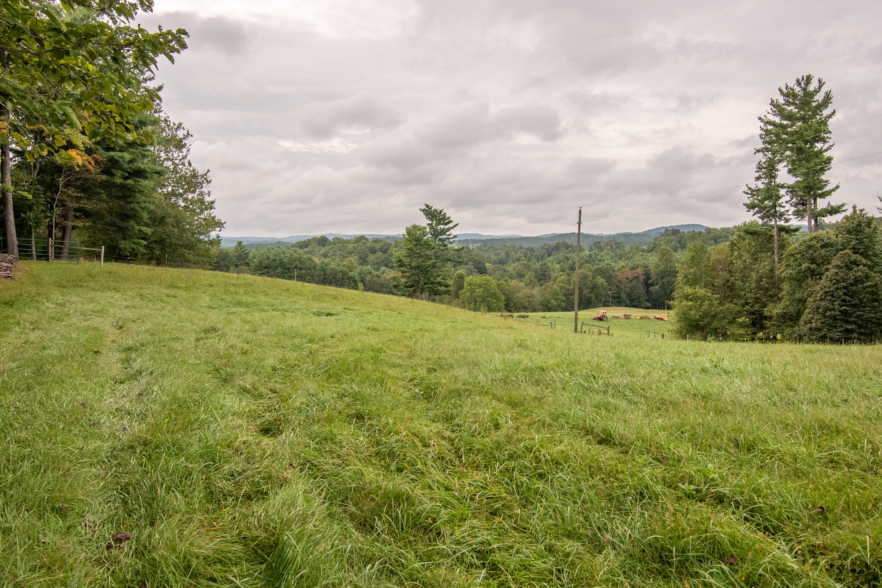361 Wade Road Northwest Floyd, VA 24091 - Photo 34 of 48 a view of a big yard with large trees