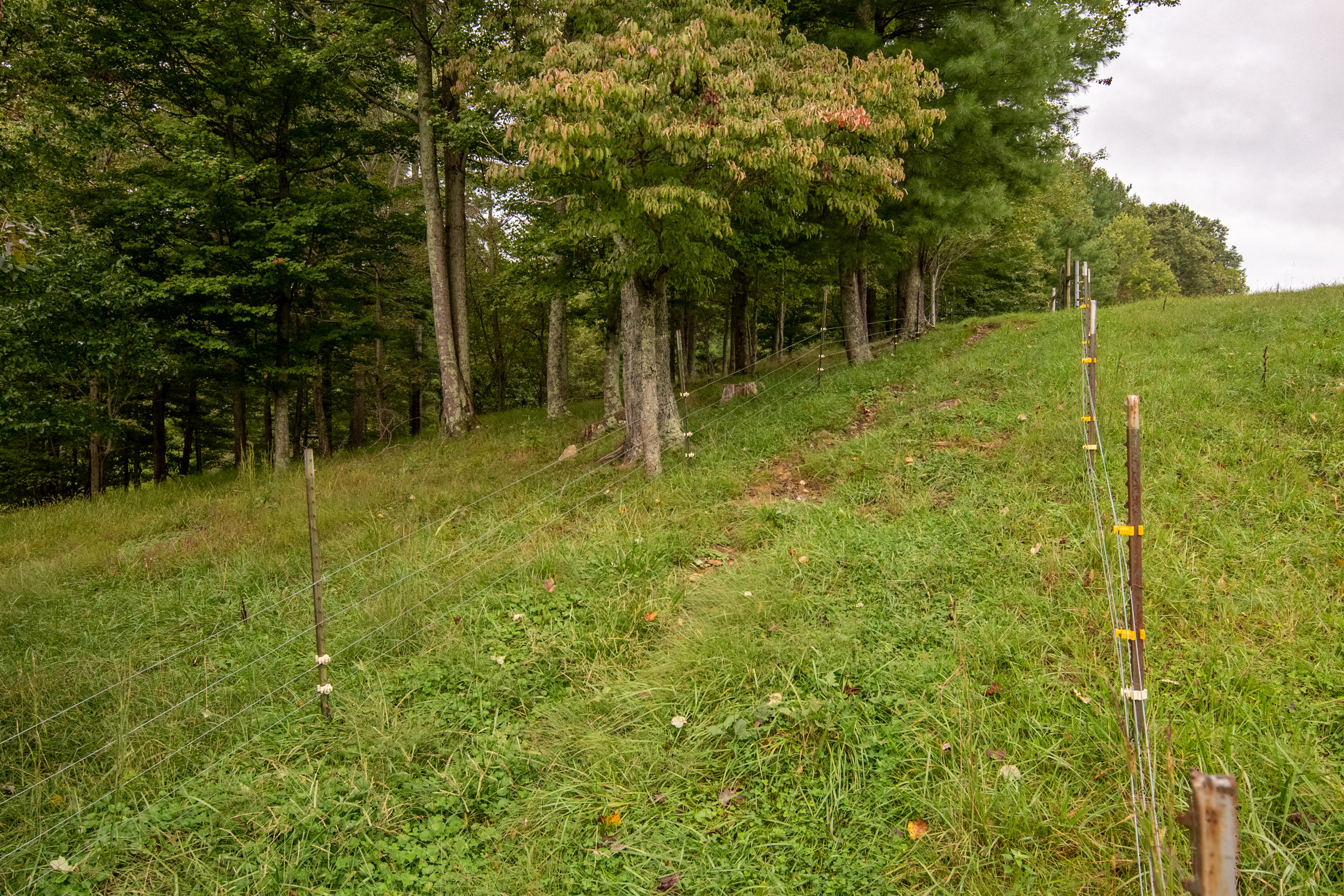 361 Wade Road Northwest Floyd, VA 24091 - Photo 38 of 48 a fire hydrant in the middle of a field