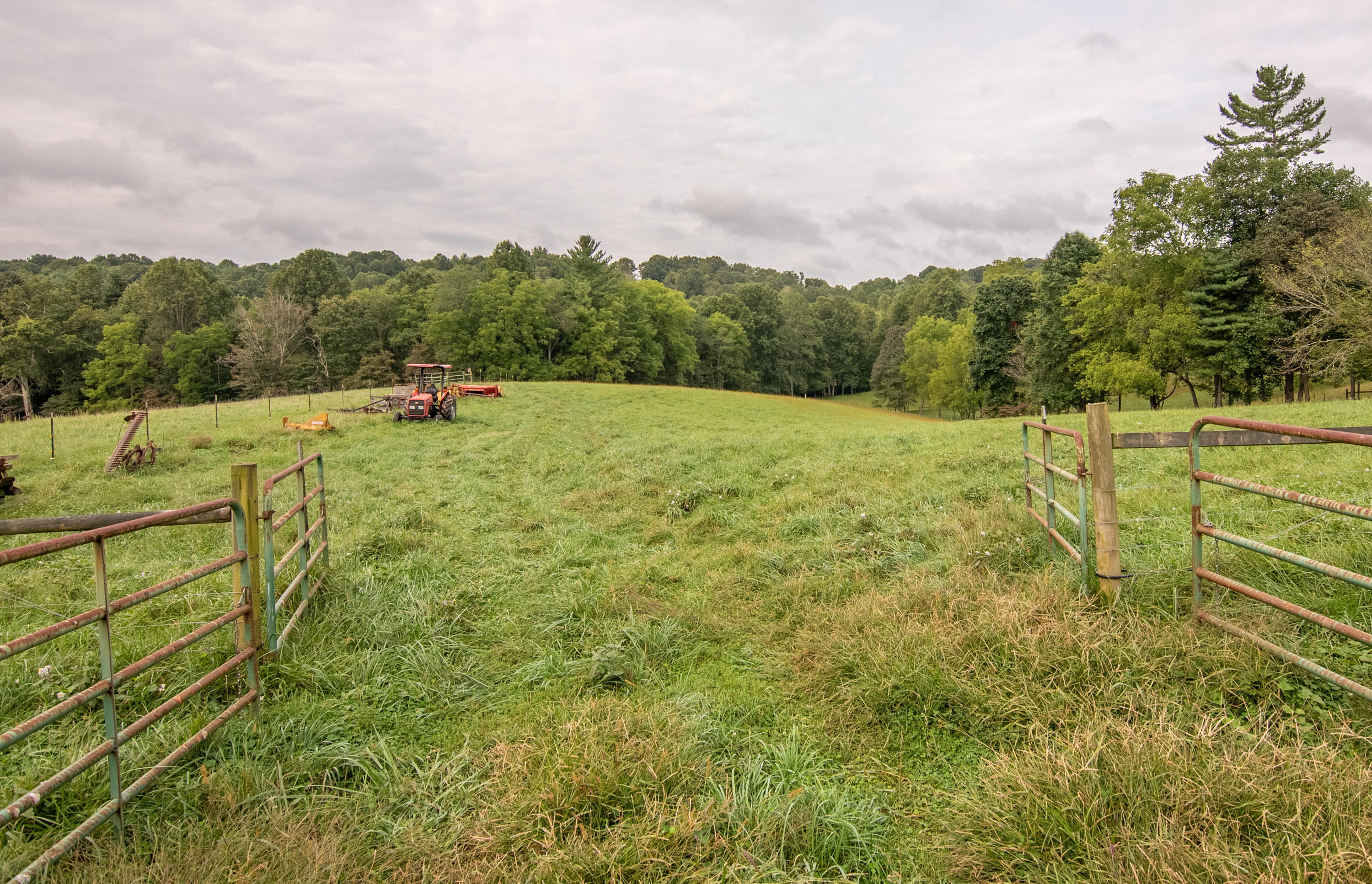 361 Wade Road Northwest Floyd, VA 24091 - Photo 39 of 48 a view of a yard with an outdoor space