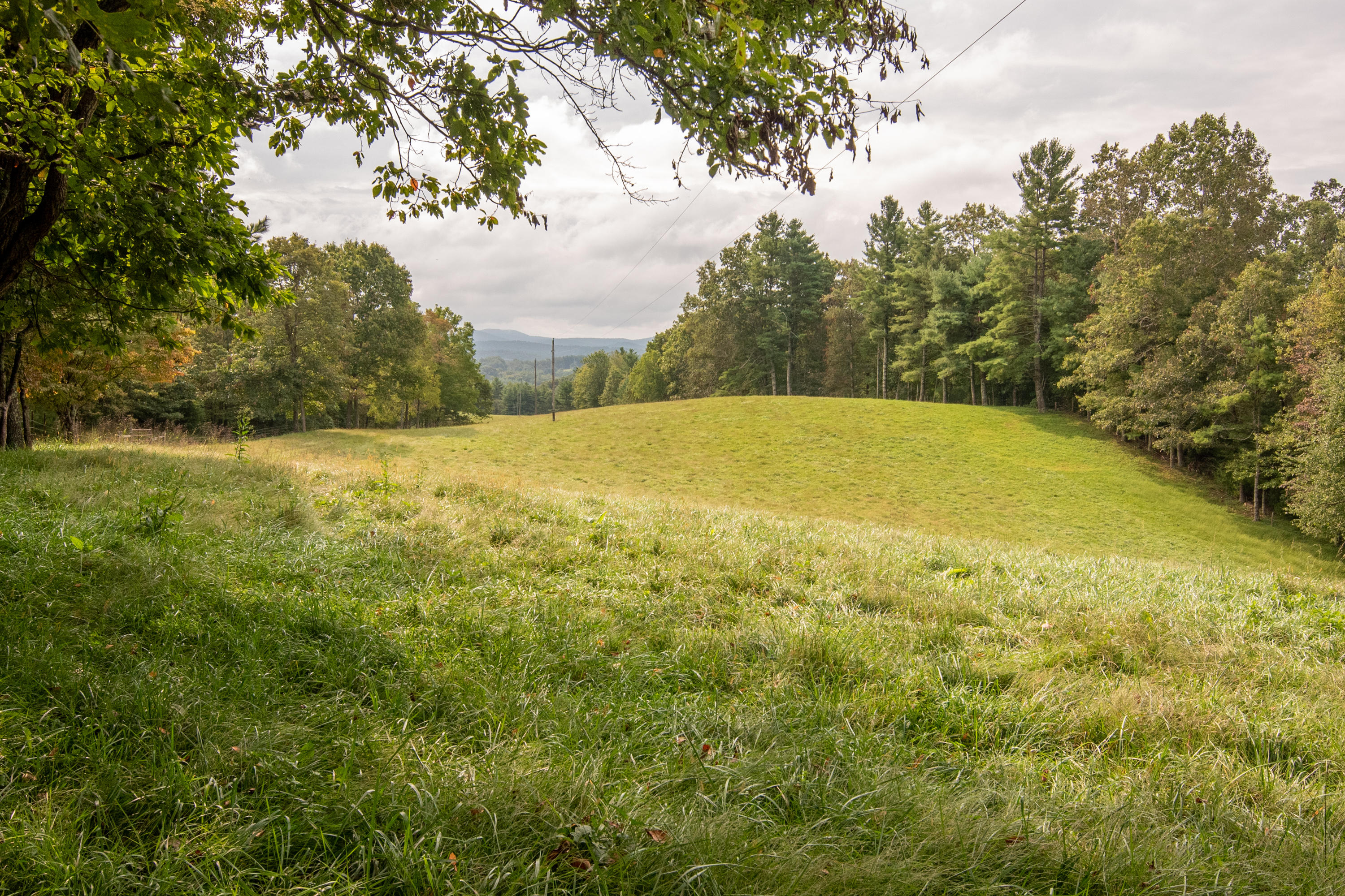 361 Wade Road Northwest Floyd, VA 24091 - Photo 41 of 48