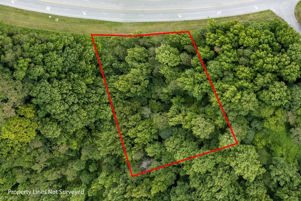 3812 Wiley Davis Road Greensboro, NC 27407 - Photo 2 of 9