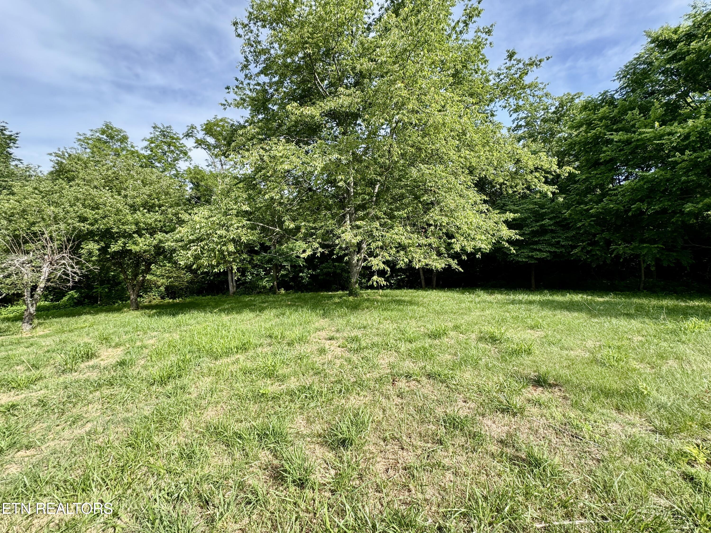 529 Peanut Road Parrottsville, TN 37843 - Photo 19 of 54 1-19