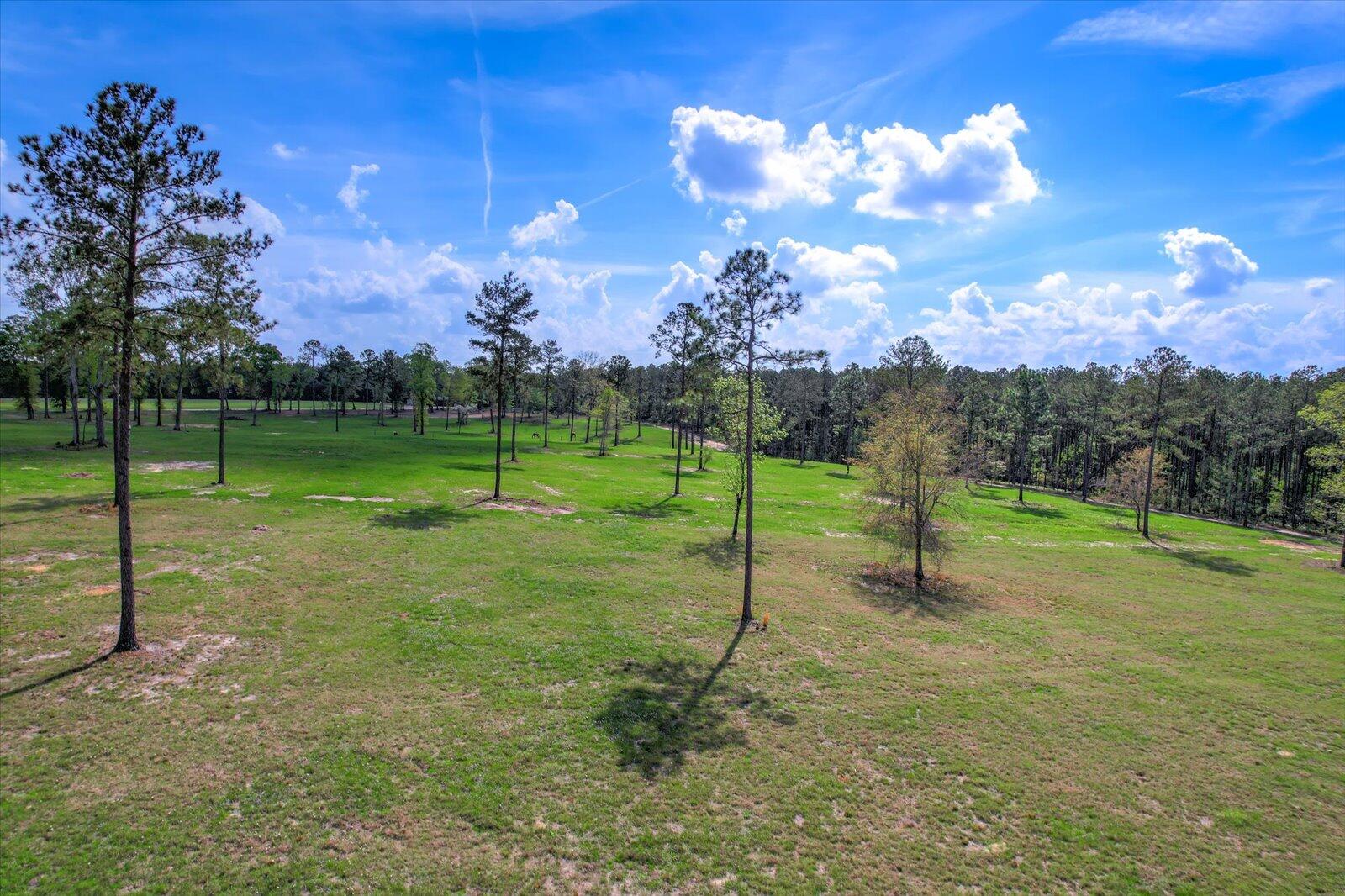 304 Farmfield Road Aiken, SC 29805 - Photo 5 of 28