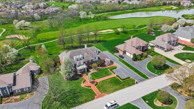 a view of a park with large trees