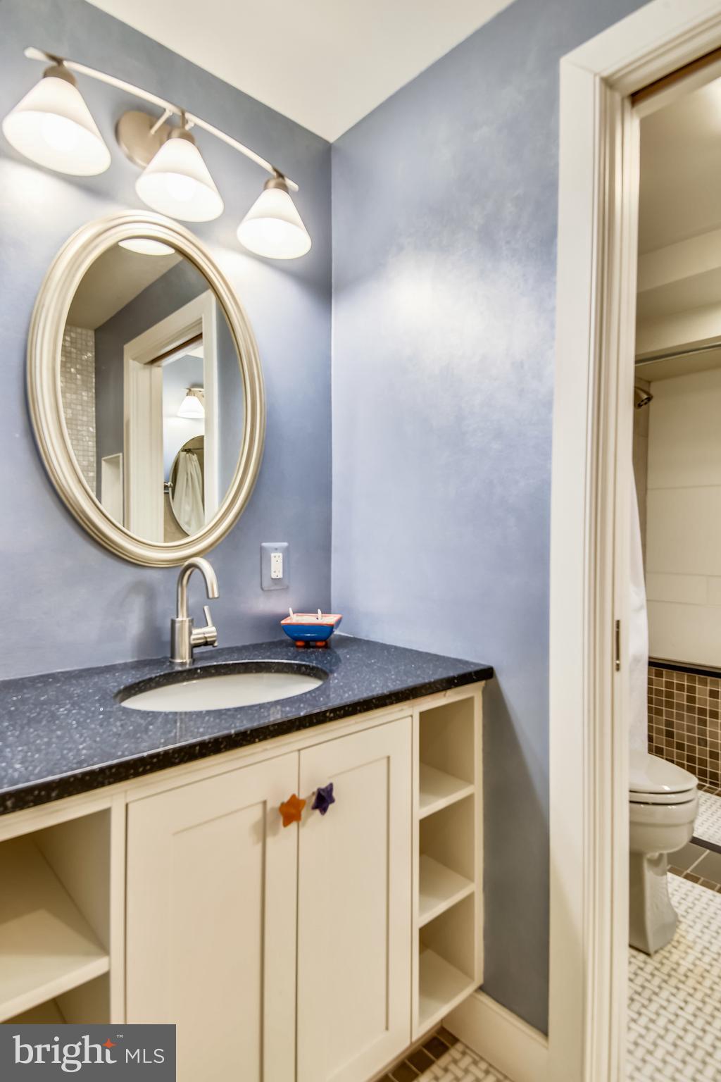 1220 Cavalier Road Arnold, MD 21012 - Photo 136 of 144 Lower level bath vanity