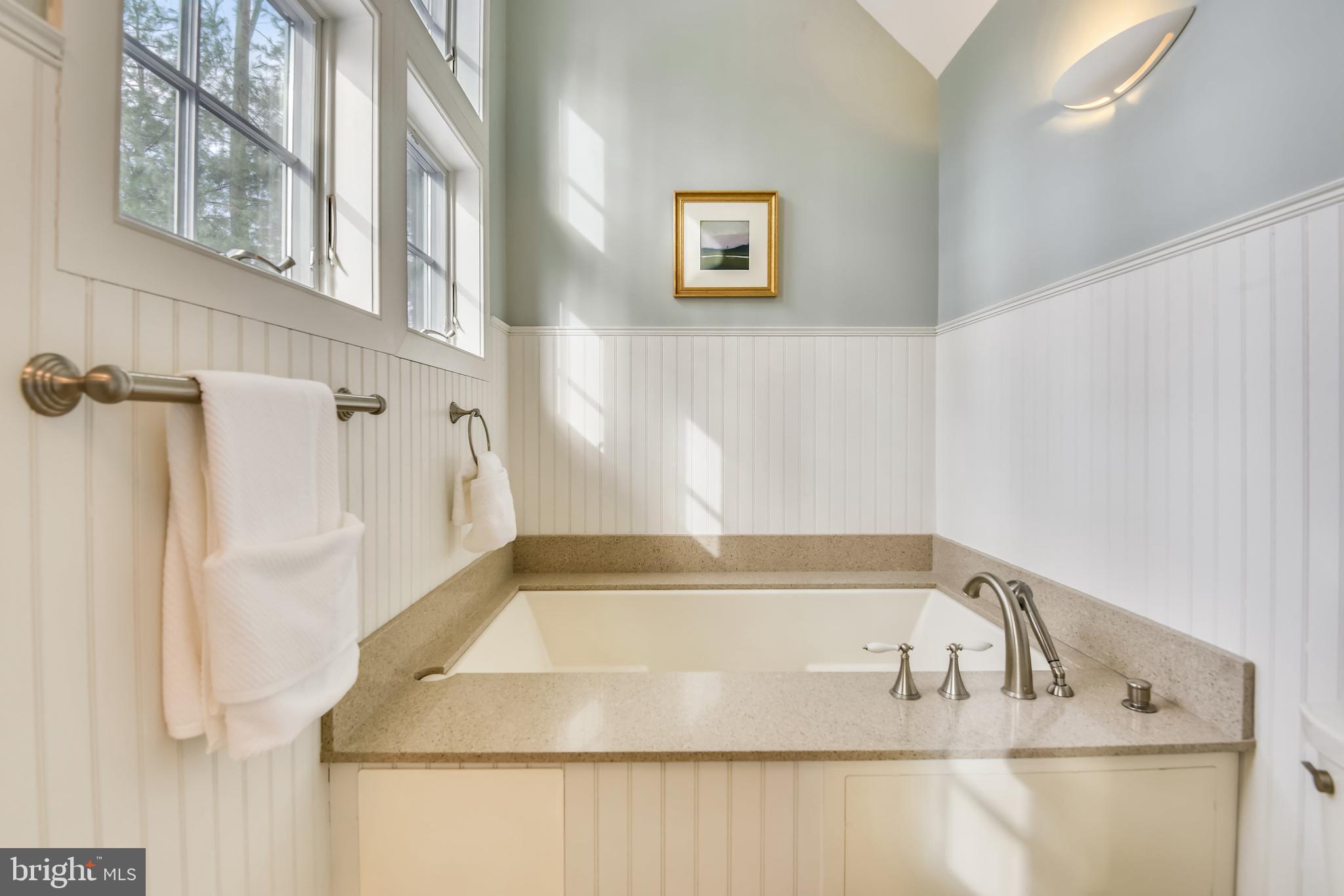 1220 Cavalier Road Arnold, MD 21012 - Photo 46 of 144 Large air-jet tub